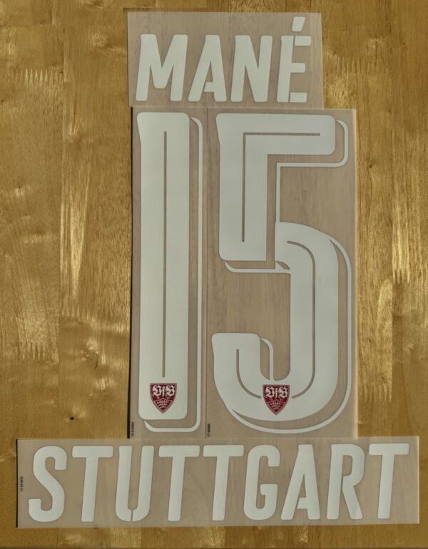 VFB Stuttgart Spieler Flock Mane Puma Home Trikot