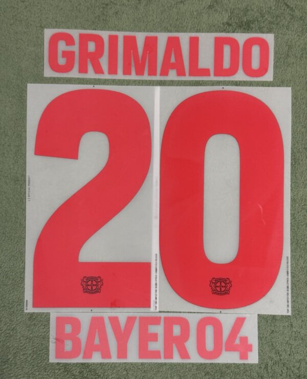 Bayer 04 Leverkusen Spieler Flock Grimaldo Castore Home Trikot 2023-2024