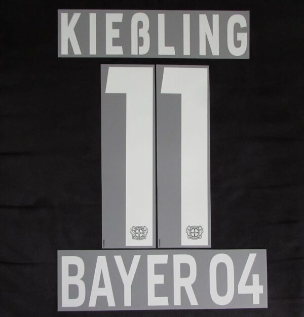 Bayer 04 Leverkusen Spieler Flock Kiessling adidas Home/ Away Trikot 2014-2015-2016-2017-2018